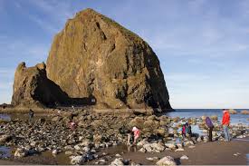 Where To Make The Most Of The Low Tide In Oregon This Summer