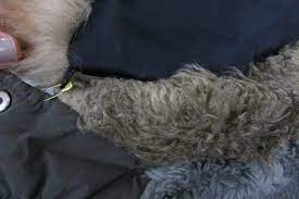 How To Fix Matted Fur Trim On A Winter Coat - Damaged By Washer/Dryer