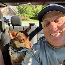 Who recommends a stump grinding service?