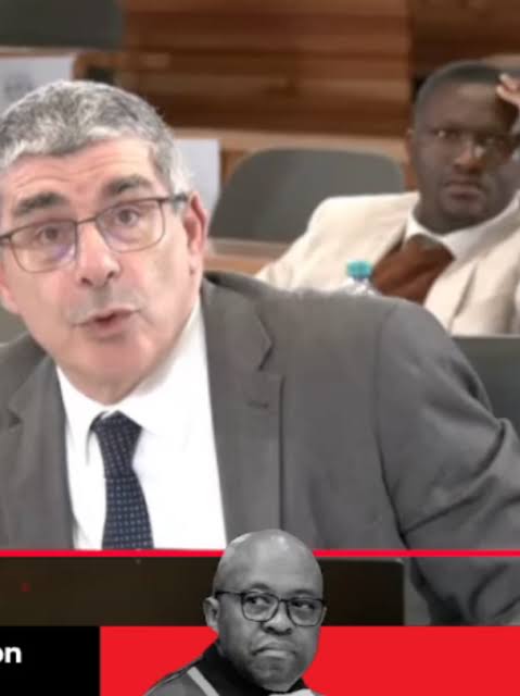 IPID's Len John: Evidence against Bevan Loftus in dockets—but "no conclusive evidence" for conviction. Thomas statement describes shooting. Key witness appeared a year later. #MadlangaCommission ...