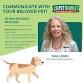 Communicate with your Pet! with Tara Lewin - CB Pet Market, Village Center, 412 US-206 Event Image