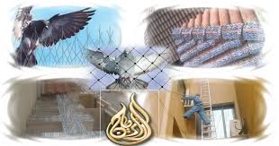 شركة مكافحة الحمام بالدمام وتركيب طارد الطيور 0532882215 الريان wedding invitations boho cool things to buy digital creative agency