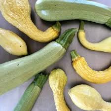When you cannot find zucchini in your local store, yellow squash is the go to ingredient since they all belong to the same family.the canary yellow squashes are the best to use, but you can always use the crookneck squashes. Featured Recipe Zucchini Bread Greensboro Children S Museum