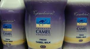 These pure and natural properties make a great alternative for those with sensitive one of the biggest concerns you can have as a parent is what is my child consuming? Finally Camel Milk Available In The Uk Sick Chirpse