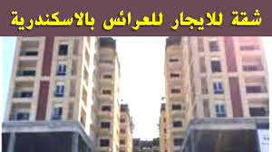 We did not find results for: Ø´Ù‚Ø© Ù„Ù„Ø¥ÙŠØ¬Ø§Ø± Ø£ÙˆÙ„ Ø³ÙƒÙ† Ù„Ù„Ø¹Ø±Ø§Ø¦Ø³ Ø³Ù…ÙˆØ­Ø© Ø§Ù„Ø¬Ø¯ÙŠØ¯Ø© ÙƒÙ…Ø¨ÙˆÙ†Ø¯ Ù†Ø¯Ù‰ Ø³Ù…ÙˆØ­Ø© Ø¨Ø§Ù„Ù‚Ø±Ø¨ Ù…Ù† Ø§Ù„Ù…Ø­Ø§ÙØ¸Ø© ÙˆÙ†Ø§Ø¯ÙŠ Ø§Ù„Ø¥ØªØ­Ø§Ø¯ Ø§Ù„Ø³ÙƒÙ†Ø¯Ø±ÙŠ Youtube