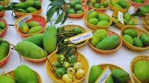mango festival at patna bihar ...