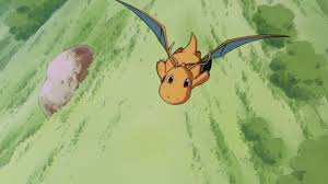 Dragonite Pokemon Wallpapers 1920x1080 Full Hd 1080p Desktop Backgrounds