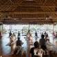 6 Day Solo Traveler Adventure Yoga Holiday with event image
