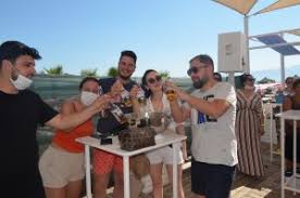 Download murat övüç'ün aylık geliri, gideri ne kadar? Murat Ovuc Maitai Beach I Salladi Medihaber Antalya Haberleri