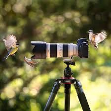 Hubs United On Instagram Photo By Sergey Polyushko Chosen By Maria Pashon50 Congratulations Tag Your B Travel Art Life Photography Instagram