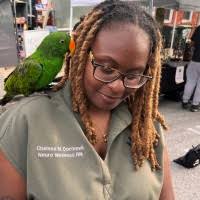 300+ profils pour “Dormevil”