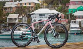 Duffy, 33, one of two athletes representing bermuda, took home gold in the women's. Flora Duffy S New Specialized Tarmac Disc Triathlon Magazine Canada