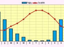Check spelling or type a new query. Iklimler Not Bu