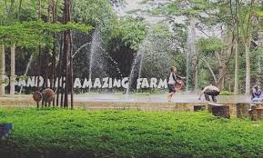 Ibu kota negara republik indonesia memiliki sejumlah tempat wisata yang cukup menarik dan sangat di rekomendasikan. 10 Gambar D Kandang Amazing Farm Depok Harga Tiket Masuk Lokasi Alamat Jam Buka Tutup Nomer Telefon Jejakpiknik Com
