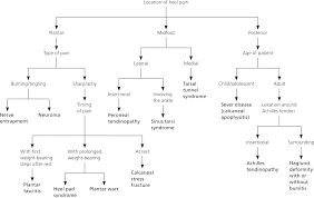 We did not find results for: Diagnosis Of Heel Pain American Family Physician