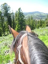 Canyon adventures horseback day tours. Club At Spanish Peaks Ultimate Horseback Riding Vacation Big Sky Mt Writing Horseback