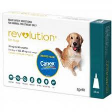 Fights both internal and surface parasitic infections. Revolution Large Teal Dogs Puppies