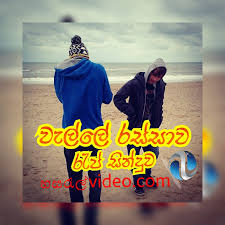 Walla Rassawa Rap Song Mp3 Hasaralvideo Com