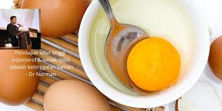 Berikut ini daftar makanan yang mengandung kolesterol tinggi untuk anda hindari. Telur Bukan Penyebab Kolesterol Tinggi Dr Kongsi Ambil Setiap Hari Mampu Kurangkan Risiko Kanser Payudara Remaja