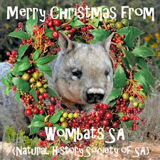 Wombats SA