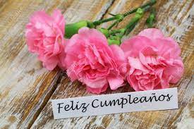 See more ideas about happy birthday images, birthday images, happy birthday. Feliz Cumpleanos Happy Birthday In Spanish Card With Pink Carnations On Rustic Surface Stock Photo Picture And Royalty Free Image Image 42150845