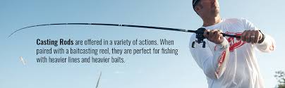 Maybe you would like to learn more about one of these? Amazon Com Berkley Bclr661mh Lightning Casting Rod Sports Outdoors