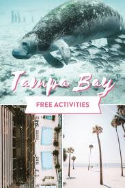 Fun Free Things To Do In Tampa Florida With Or Without Kids In 2020 Kids Vacation Ybor City Tampa Free Things To Do