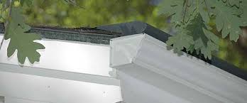 Maybe you would like to learn more about one of these? Raleigh Durham Nc Gutter Covers New Gutter Installation