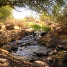 Riparian Preserve In Gilbertaz Taken By Swissmissthefirst Via Instagram Visit Arizona Beautiful Locations Scottsdale Resorts