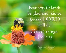 The day of the lord's. Pin On Minor Prophets Day Of The Lord