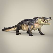 Realistic Crocodile 3d Model Crocodile 3d Model Model