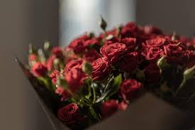 2.279 immagini gratis di compleanno fiori. Cinque Fiori Da Regalare Ad Una Ragazza Per Fare Colpo Arte Fiori