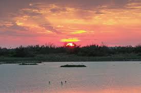 Jul 07, 2021 · yes, the driving distance between houston to port aransas is 248 miles. The Perfect 3 Day Weekend Road Trip Itinerary To Port Aransas Texas
