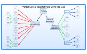 Vertebrate Invertebrate Concept Map By Zackary Guillemette