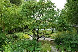 Seine anfänge reichen in das jahr 1912 zurück. Botanischer Garten Wilhelmshaven Gartenrot Blog