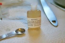 Rennet For Cheese Making Faq How To Make Cheese Cheesemaking Cheese