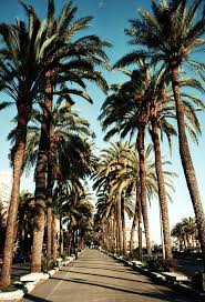 Start by marking amerika bilder as want to read Californie California Usa Amerika Travel Traveling Wanderlust Reizen Exitreizen Reis Vakantie Zomer Naturbilder Bilder Hintergrund