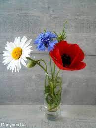Bleuet coquelicot marguerite un 14 juillet 2020.tout simple!…» Epingle Sur Fleurs