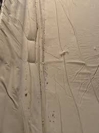 5220 n highway 95, parker, az 85344. Castle Rock Shores Resort 5220 N Highway 95 Parker Az Hotels Motels Mapquest