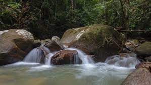 The two common accessible trail either start from hutan lipur ulu bendul (5.5 km one way) or via bukit putus (4.4 km one way). Cascades On Ulu Bendul Route Picture Of Gunung Angsi Seremban Tripadvisor