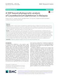 Ministry of foreign affairs of malaysia wisma putra, no 1, jalan wisma putra. Pdf A Snp Based Phylogenetic Analysis Of Corynebacterium Diphtheriae In Malaysia