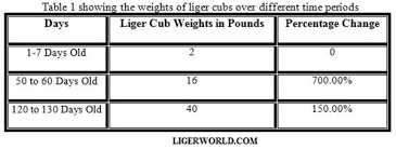 Pin On Liger Cubs Growth