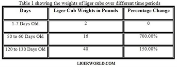 pin on liger cubs growth