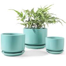 This is clearly not the case with a potted plant. Le Tauci Indoor Planter Ceramic Plant Pots With Drainage Hole And Mesh Net Round Flower Planter Pot For Plants With Saucer Tray Small To Large Sized Set Of 3 Aqua Buy Online In