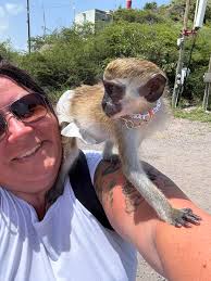 Never Quit else it will never happen 🤝