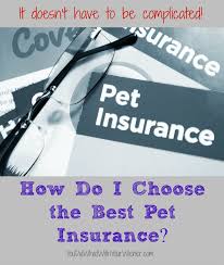 The Easy Way To Choose The Best Pet Insurance