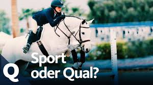 Bock (springreiten) last post 05 mar 07, 09:42: Skandale Doping Und Qualerei Das Lauft Falsch Beim Springreiten Quarks Youtube