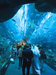 My Poppet Dubai Holidays Dubai Travel Visit Dubai