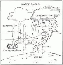 Printable Water Cycle Diagram Water Cycle Water Cycle Worksheet Water Cycle Diagram