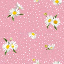 Hd wallpapers and background images Floral Seamless Pattern With Blossom Daisy Flowers Fabric Nature Spring Background With Chamomile For Textile Wallpaper Wrapping Stock Vector Illustration Of Background Graphic 141561566